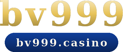 bv999 logo